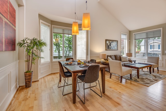 Bright dining and living room with garden views