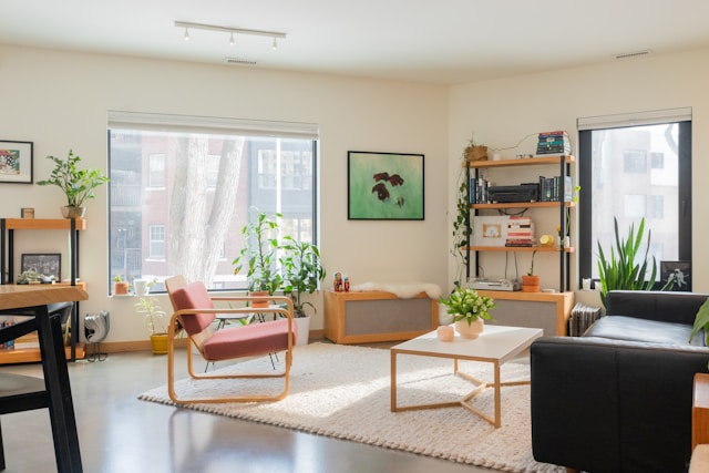 Sunlit living room filled with plants